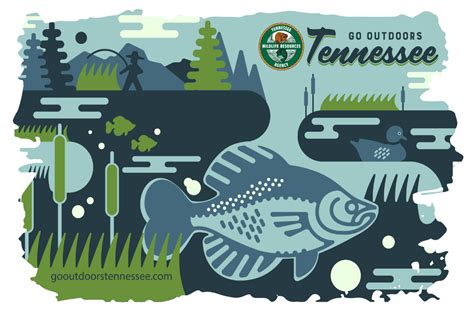 how much is a lifetime fishing license in tn